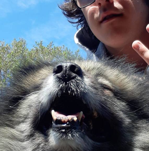 Meet your Posher, Jeremy - Picture 1 of 1